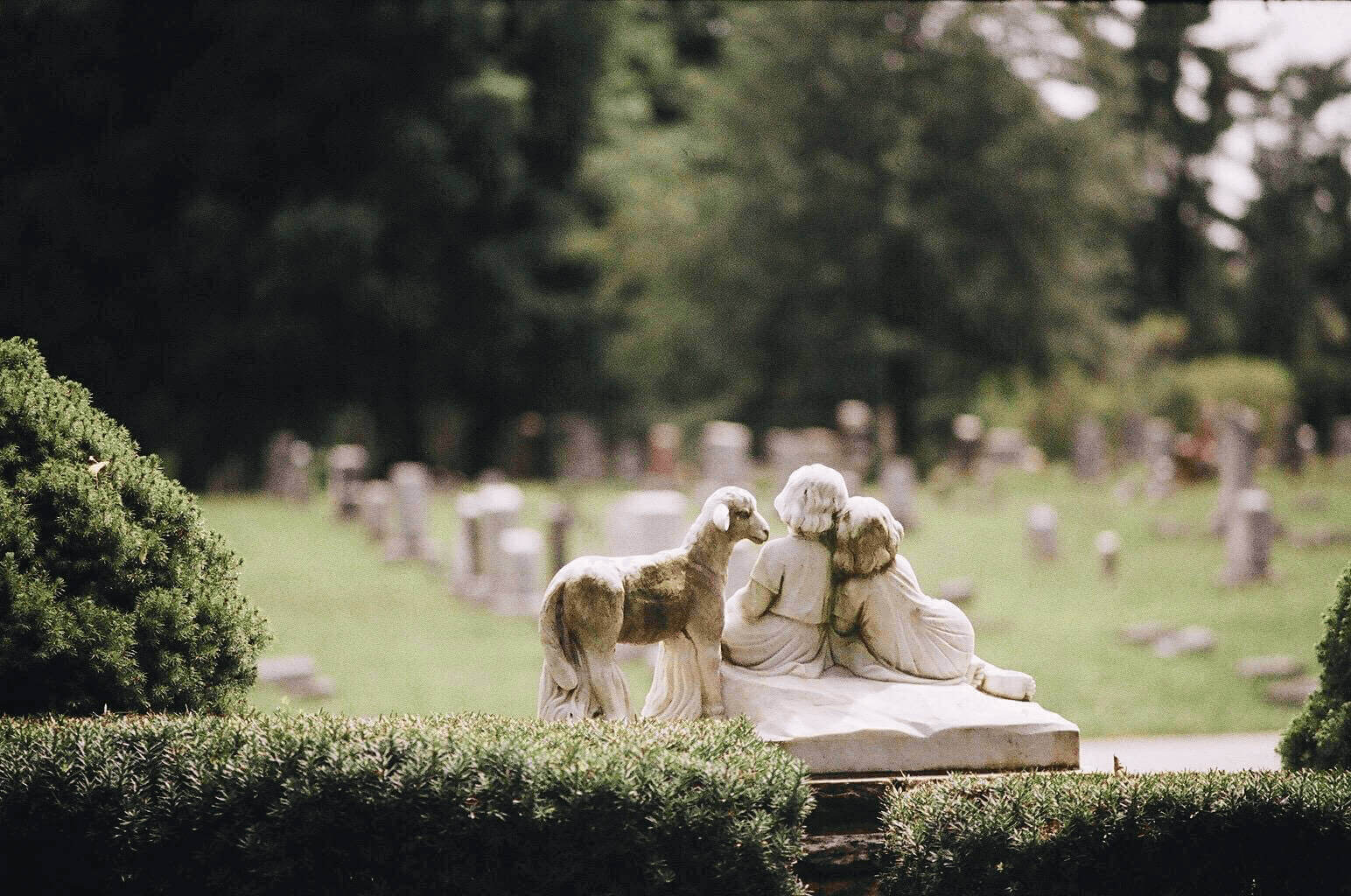 What is ISO Photography?  •  “Maplewood Cemetery” Image Shot on Praktica BX20 Kodak ISO 400 by y1lee, via Lomography