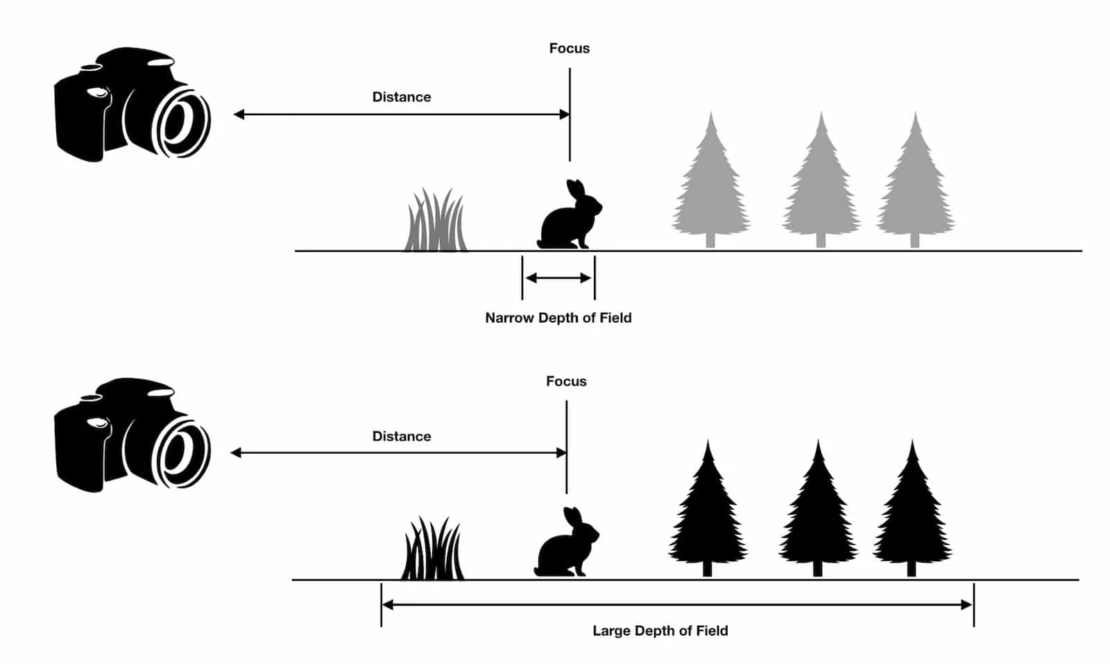 A rack focus starts with depth of field
