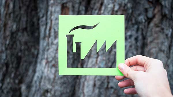 Logo Design Process: A Practitioner’s Playbook for Strong Brand Identity