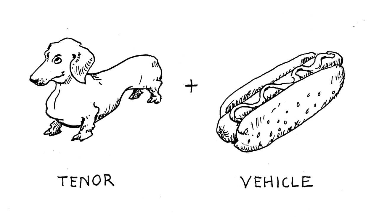 Implied metaphor examples