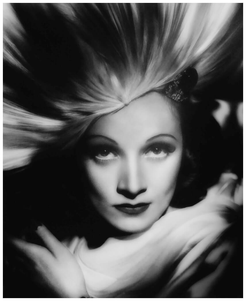 Butterfly Lighting Photography  •  Butterfly shape just under the nose