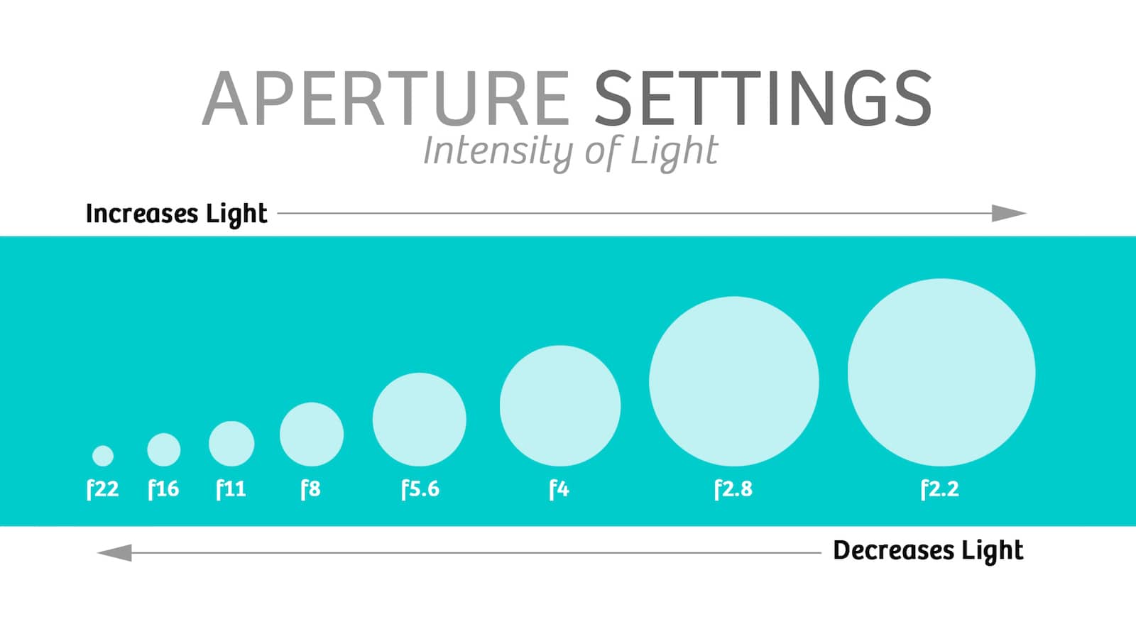The aperture is the opening through which light enters a camera
